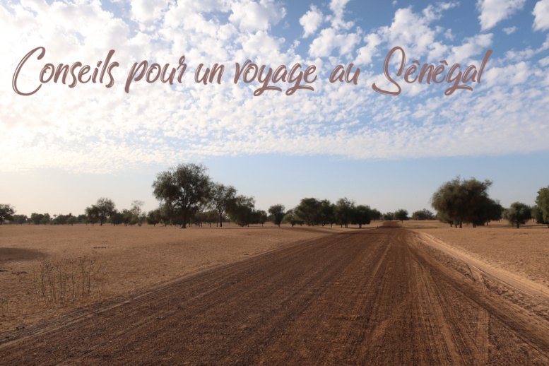 Conseils pour un voyage au Sénégal